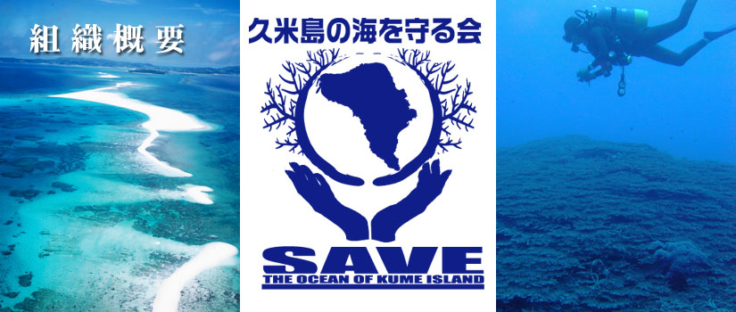 組織概要　イメージ画像