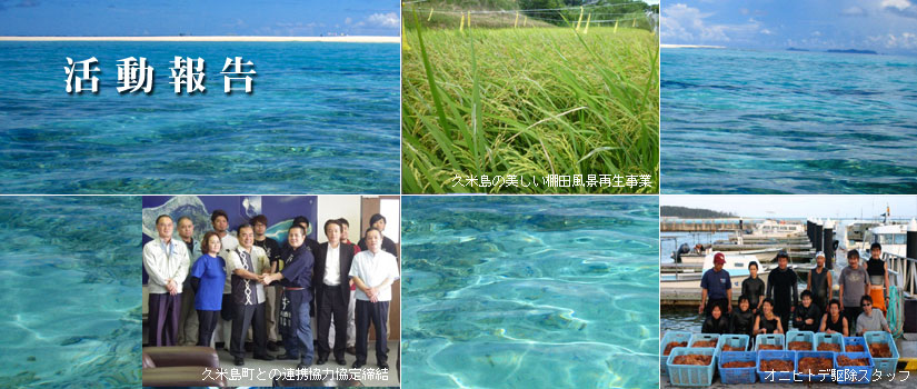 活動報告　イメージ画像